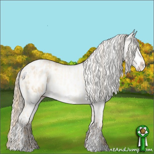 Horse Color:Perlino Dun Appaloosa  and Chocolate Palomino Pearl Dun Appaloosa 