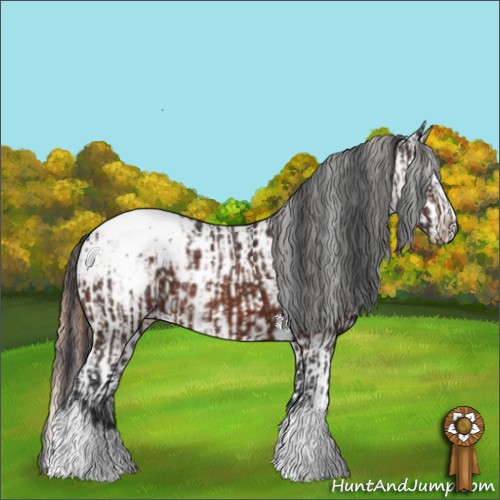 Horse Color:Brown Appaloosa  and Buckskin Pearl Splash Appaloosa 
