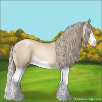 Horse Color:Chocolate Palomino Pearl Dun Splash 