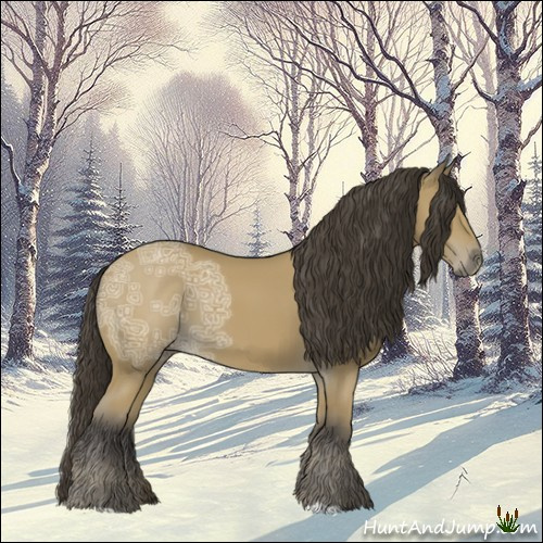 Horse Color:Buckskin Ice 