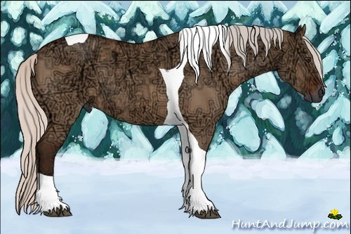 Horse Color:Silver Bay Ice Dun Tobiano 