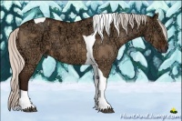 Horse Color:Silver Bay Ice Dun Tobiano