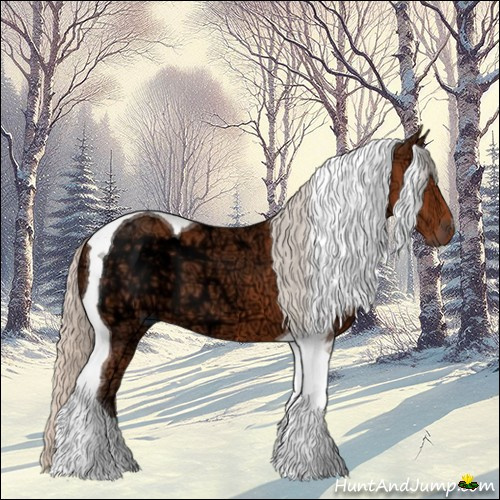 Horse Color:Silver Bay Ice Tobiano 