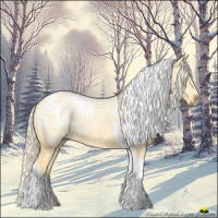 Horse Color:Palomino Ice Dun Tobiano 