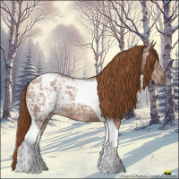 Horse Color:Chestnut Ice Tobiano 