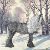 Horse Color:Cremello Ice Dun Rabicano 