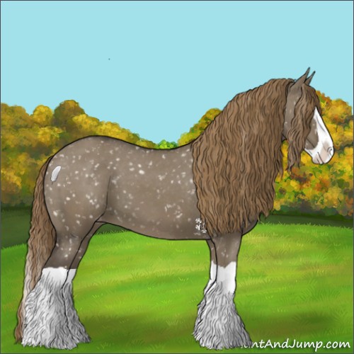 Horse Color:Smoky Grullo Splash Appaloosa 