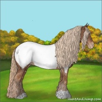 Horse Color:Chestnut Near Fewspot 
