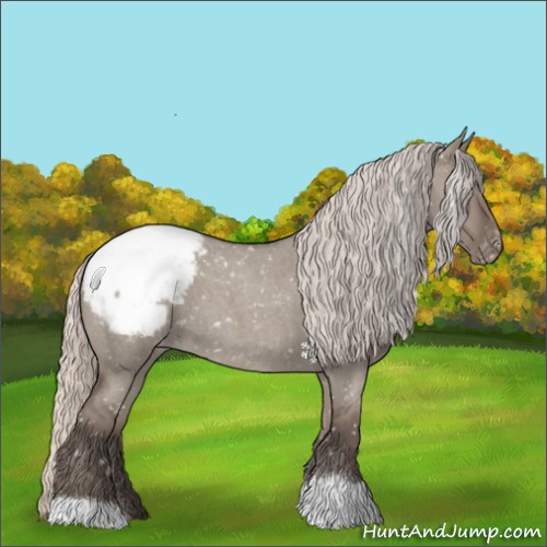 Horse Color:Silver Grullo Roan Appaloosa 