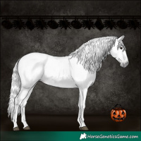 Horse Color:Gray White Spotted Silver Black Tobiano 