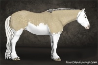 Horse Color:Silver Smoky Grullo Splash
