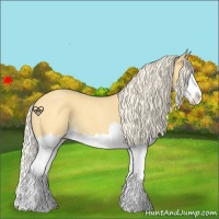 Horse Color:Palomino Roan Splash 