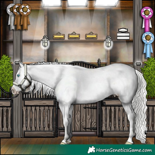 Horse Color:Silver Buckskin Pearl Near Fewspot
