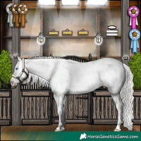 Horse Color:Silver Buckskin Pearl Near Fewspot 