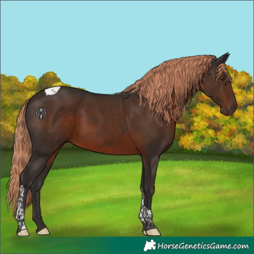 Horse Color:Liver Chestnut Tobiano 