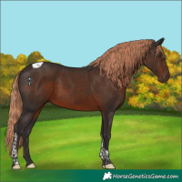 Horse Color:Liver Chestnut Tobiano 