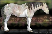 Horse Color:Nacre Bay Ice Tobiano 