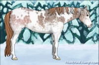 Horse Color:White Spotted Liver Chestnut Ice 