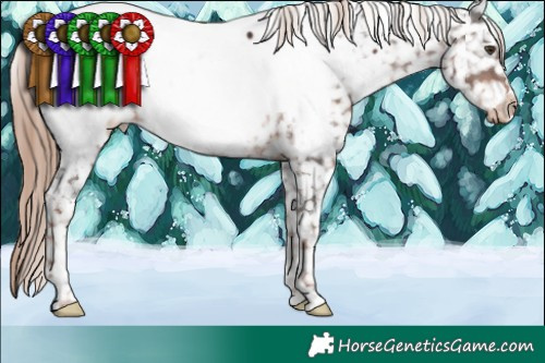 Horse Color:Liver Chestnut Tobiano Near Fewspot 