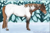 Horse Color:Liver Chestnut Tobiano Near Fewspot 