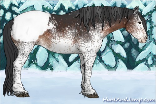 Horse Color:White Spotted Brown Tobiano Snowcap