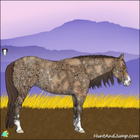 Horse Color:Amber Champagne Ice Sabino 