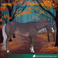 Horse Color:Silver Buckskin 