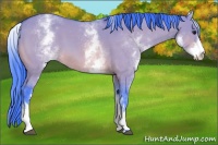 Horse Color:Watercolor White Spotted Bay Dun Sabino 