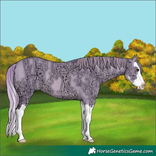 Horse Color:Watercolor Red Dun Ice Sabino Splash 