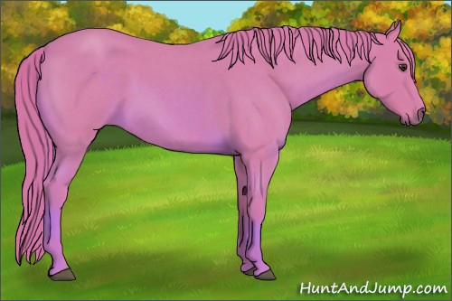 Horse Color:Watercolor Red Roan Sabino 