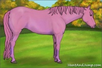 Horse Color:Watercolor Red Roan Sabino 