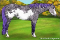 Horse Color:Watercolor Bay Ice Sabino Frame 