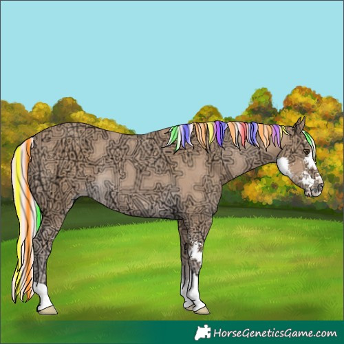 Horse Color:Painted Watercolor Palomino Ice Sabino 
