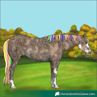 Horse Color:Painted Watercolor Palomino Ice Sabino 