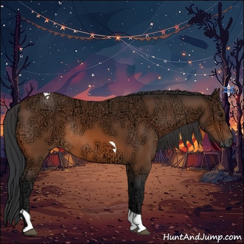 Horse Color:Bay Ice Tobiano Rabicano 