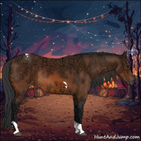 Horse Color:Bay Ice Tobiano Rabicano 