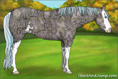 Horse Color:Watercolor Plaid  Bay Ice Dun Sabino Splash 