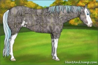Horse Color:Watercolor Plaid  Bay Ice Dun Sabino Splash 