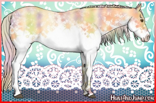 Horse Color:Nacre White Spotted Palomino Dun