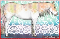 Horse Color:Nacre White Spotted Palomino Dun 