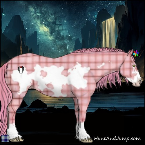 Horse Color:Watercolor Plaid  Amber Champagne Roan Frame 