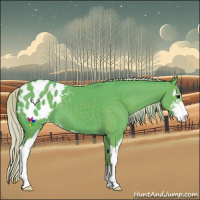 Horse Color:Watercolor Silver Black Sabino Appaloosa