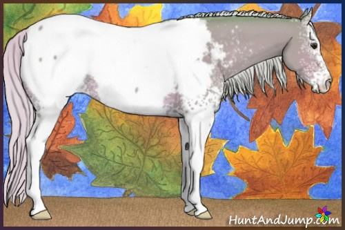 Horse Color:Watercolor White Spotted Silver Bay Dun Appaloosa 