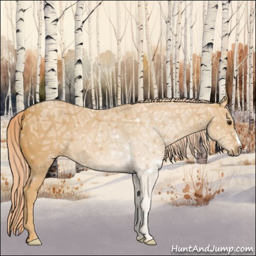 Horse Color:Palomino Ice 