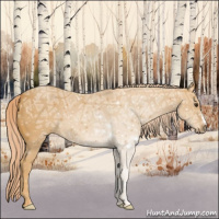 Horse Color:Palomino Ice 