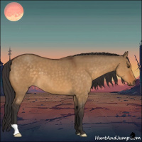 Horse Color:Buckskin Dun 