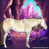 Horse Color:White Spotted Classic Cream Champagne Onyx 