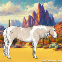 Horse Color:Silver Bay Roan Dun Splash Tobiano 