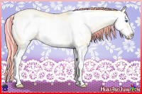 Horse Color:Painted Buckskin Roan Pearl Dun Splash Frame 