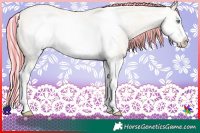 Horse Color:Painted Buckskin Roan Pearl Dun Splash Frame 
